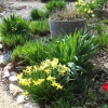 Bulb Bed overview