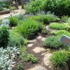 Photo of the maze