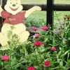 Pooh bear cutout with bee balm flower