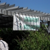 pergola-063011
