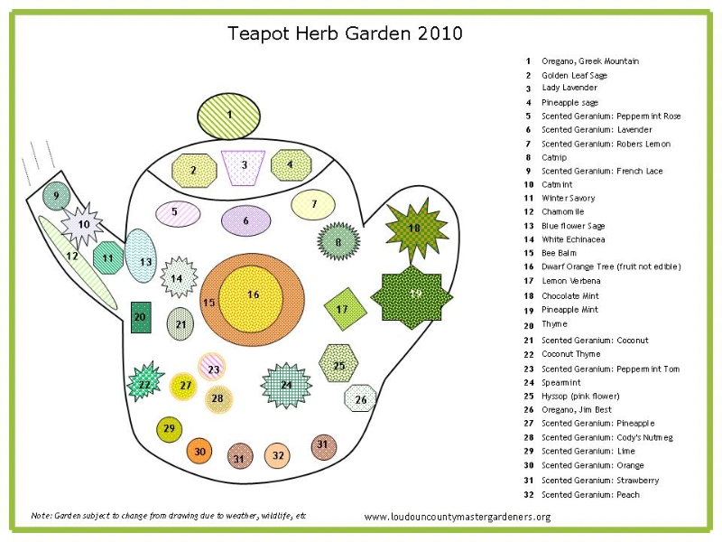 teapot-herb-flyer-10