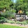 Bench on edge of Wedding Garden