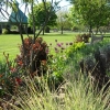 View of western edge of Wedding Garden