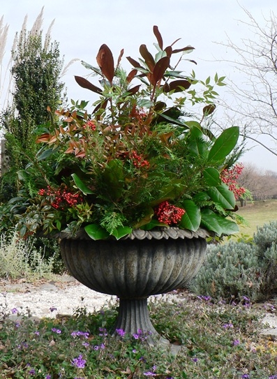 Urn planted for Winter