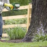 fertilizing
